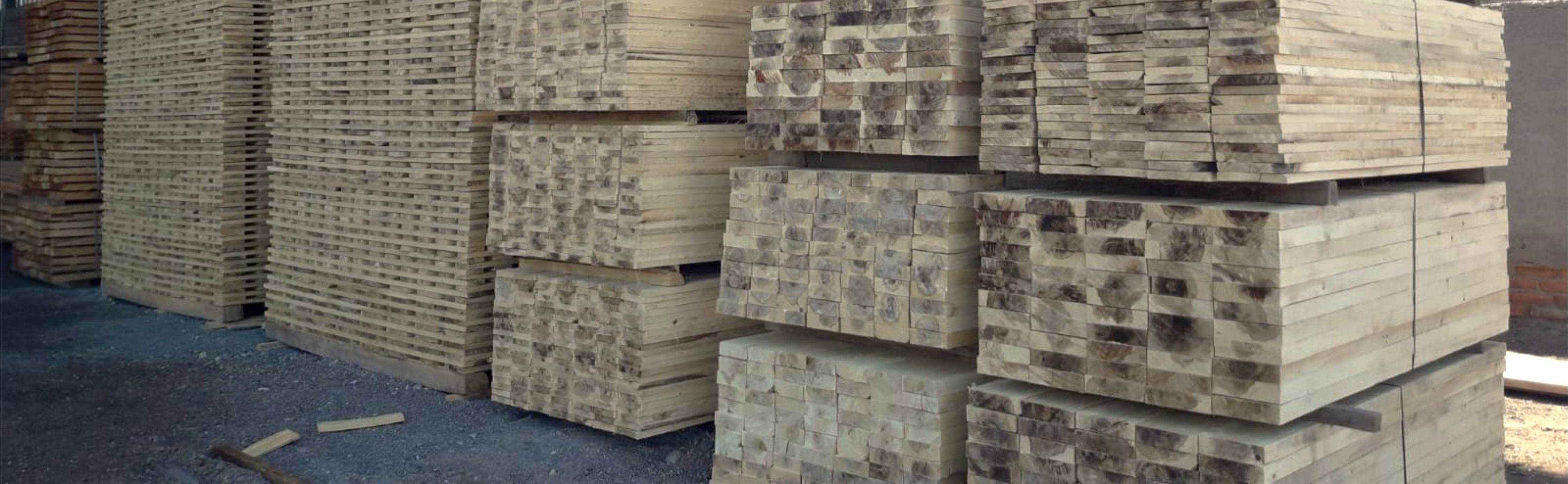 Sustentabilidad y Fuerza